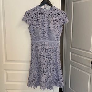 Ever New Melbourne Chessie Open Back Lace dress 2